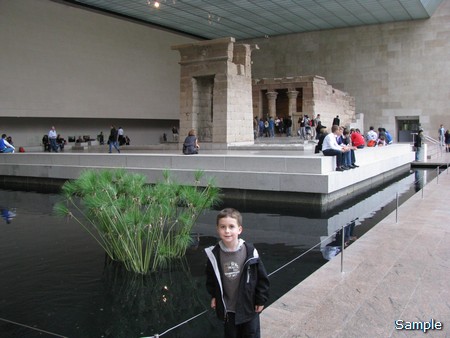 Мой первый поход в Metropolitan Museum of Arts